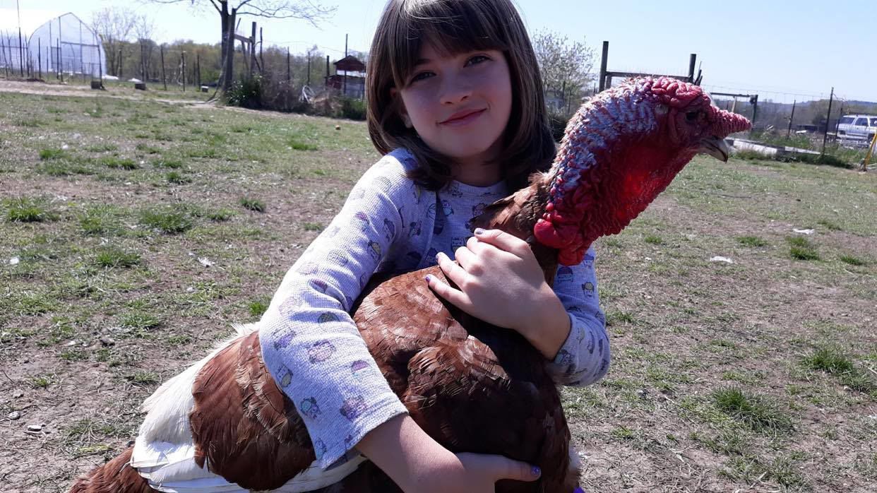 Ryder Family Farm